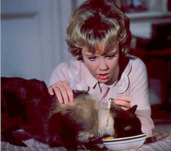 Patricia Cahill - Little Altar Boy Patricia Cahill - Little Altar Boy